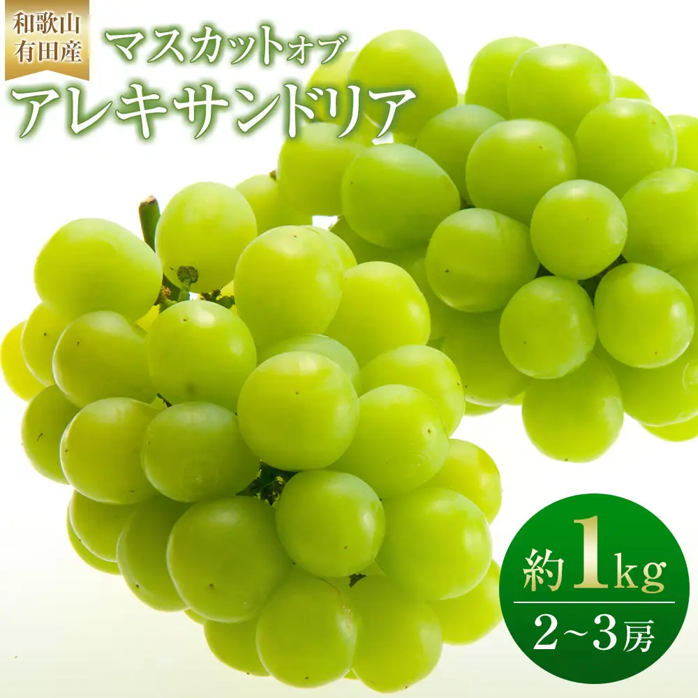［先行予約］和歌山 有田産 マスカットオブアレキサンドリア 約1kg 2～3房 ［2026年8月下旬より順次発送予定］