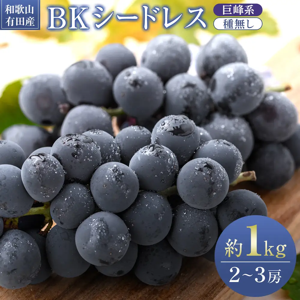 ［先行予約］和歌山 有田産 種なし BKシードレス 約1kg 2～3房 ［2026年8月下旬より順次発送予定］