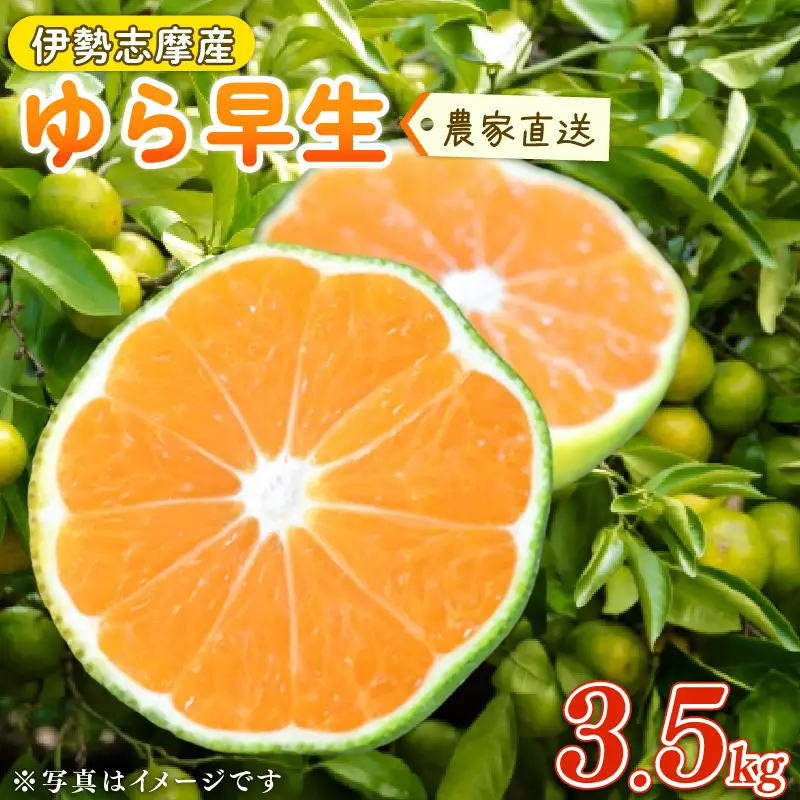 【2026年10月中旬～発送】 ゆら早生みかん 3.5kg ※先行受付【tmkn_005】