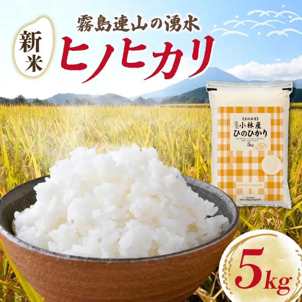 【令和7年産米】ヒノヒカリ 5kg（国産 米 お米 精米 ひのひかり 令和7年産 5kg 数量限定）