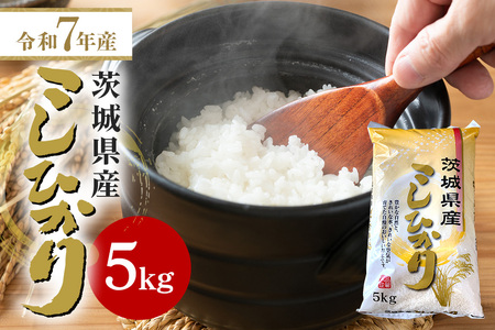 【令和7年産】石岡市産コシヒカリ 5kg 精米 お米 米 白米 茨城県 石岡市 B05-007