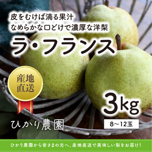 完熟こだわりラ・フランス 3キロ（ひかり農園）