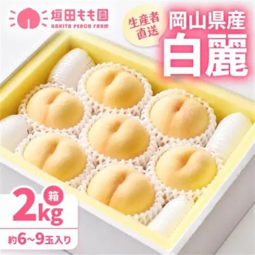 【先行予約★2027年8月上旬より順次発送予定】岡山県産　白麗(2kg箱)【配送不可地域：離島・北海道・沖縄県】【1667433】