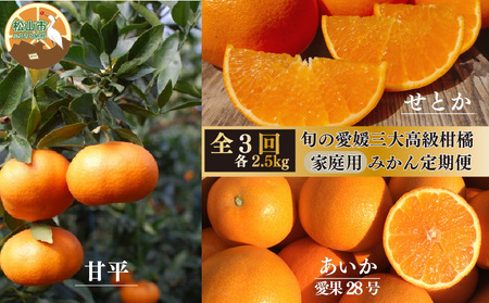 旬の愛媛三大高級柑橘 約2.5kg