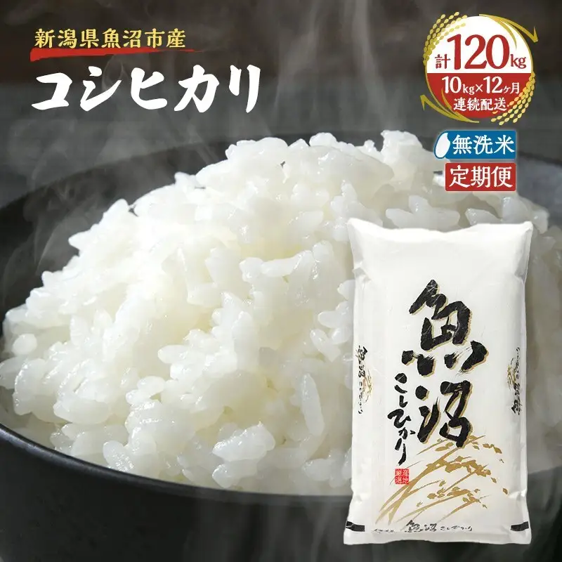 【定期便：雪国逸品    無洗米10kg×12ヶ月】越後魚沼郷    魚沼産コシヒカリ