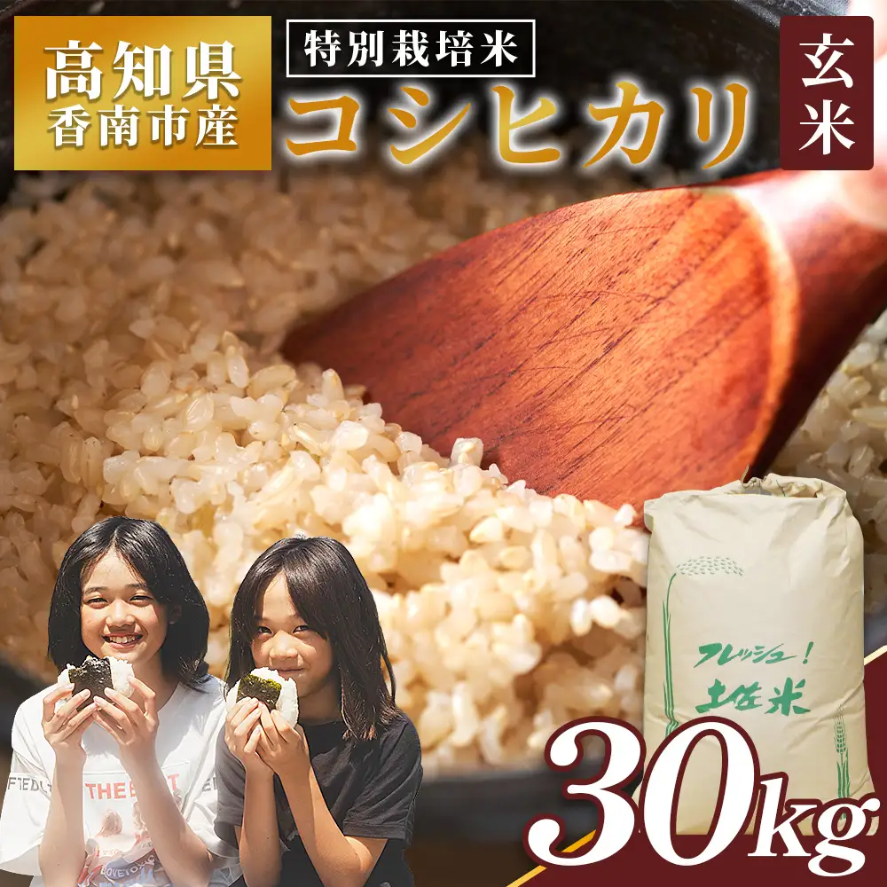 【 玄米 】特別栽培米 コシヒカリ 玄米 30kg 令和8年産 nu-0010