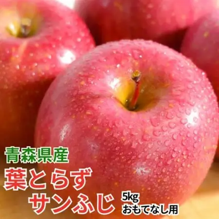 【12月出荷予定】平均糖度13度以上! 葉とらずサンふじ 約5kg おもてなし用【配送不可地域：離島・沖縄県】【1668000】