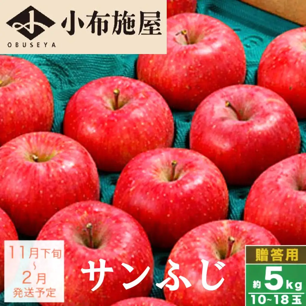 先行受付 サンふじ 贈答用 約5kg 10～18玉 ［小布施屋］令和8年産【2026年11月下旬～2027年2月発送】［A-209］