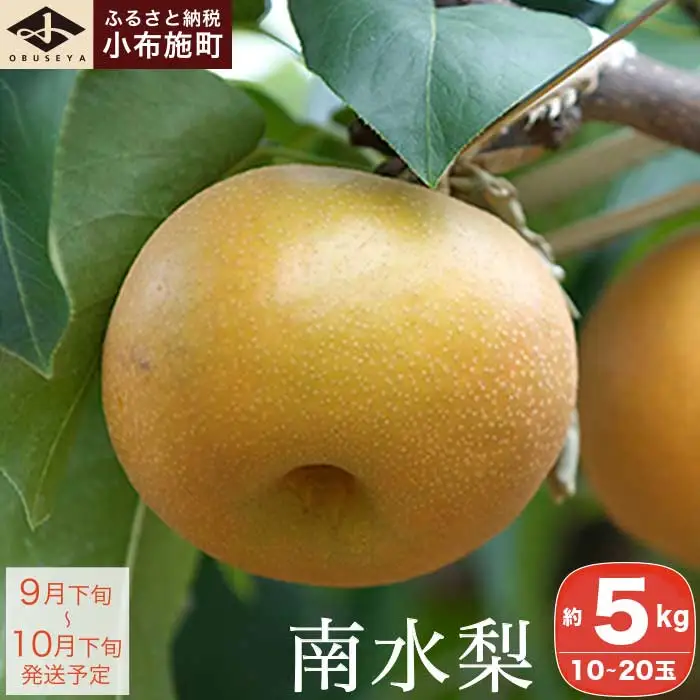 先行受付 南水梨 約5kg 10-20玉 ［小布施屋］令和8年産 【2026年9月下旬～10月下旬発送】［A-210］
