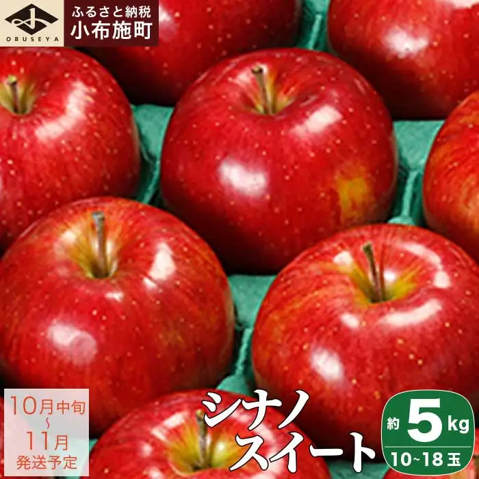 先行受付 シナノスイート 約5kg 10～18玉 ［小布施屋］令和8年産【2026年10月中旬～11月発送】［A-207］