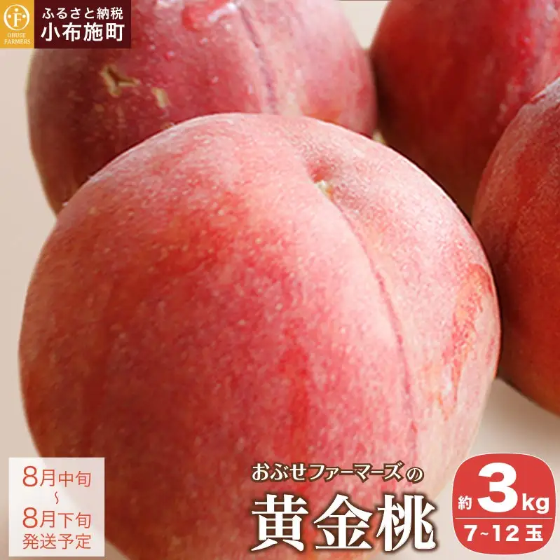黄金桃 約3kg 7～12玉 ［おぶせファーマーズ］桃 もも モモ フルーツ 果物 クール便 冷蔵便 長野県産 信州産  令和8年産【2026年8月中旬～下旬発送】［F-18］