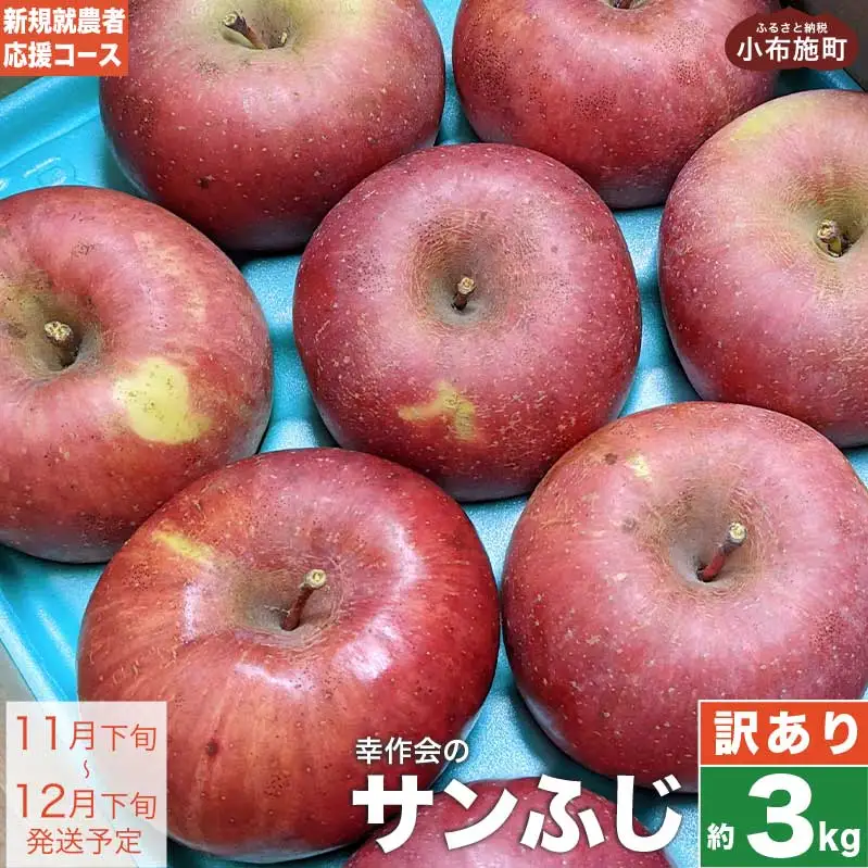 【訳あり】 サンふじ 約3kg ［新規就農者応援コース 幸作会］フルーツ 果物 りんご 林檎 長野県産 信州産  令和8年産【2026年11月下旬～12月下旬発送】  ［KH-50］