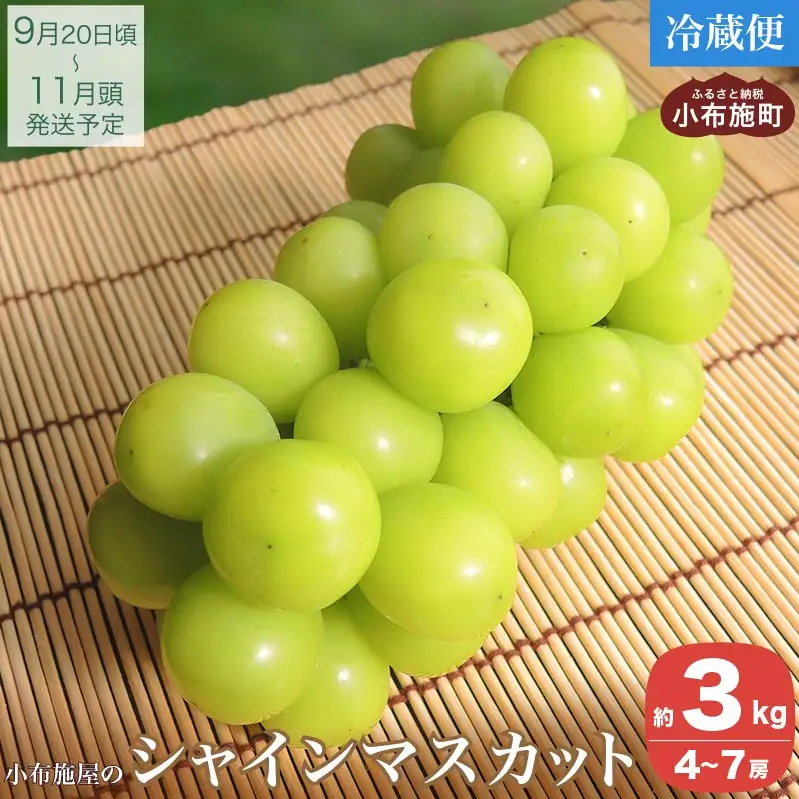 シャインマスカット 約3kg 4～7房 ［小布施屋］令和8年産 【2026年9月20日頃～11月頭にかけて順次発送】[C-5]