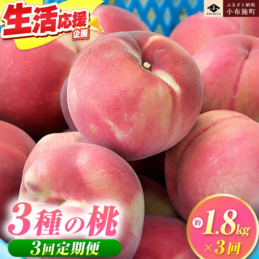 【3回定期便】小布施屋の 桃食べ比べ定期便 約1.8kg×3回 ［小布施屋］令和8年産【2026年7月末～9月上旬発送】[B-502]