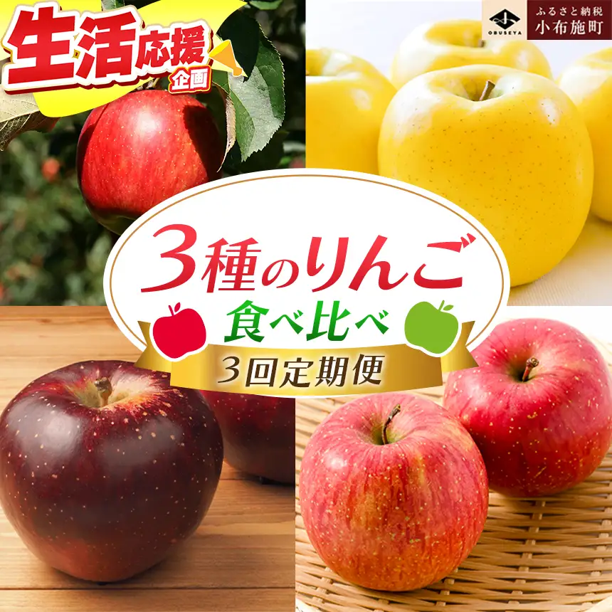 【3回定期便】小布施屋のりんご食べ比べ定期便 3回コース ［小布施屋］フルーツ 果物 りんご 林檎 定期便 信州産 長野県産 令和8年産 【2026年10月～2027年1月発送】 ［C-501］