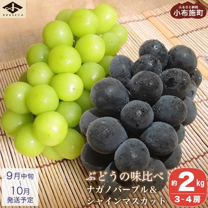高級ぶどう味比べ詰合せ ナガノパープル ＆ シャインマスカット 約2kg 3～4房 ［小布施屋］ 果物 フルーツ ぶどう 葡萄 詰め合わせ セット 食べ比べ 令和8年産【2026年9月中旬～10月発送】［C-1］