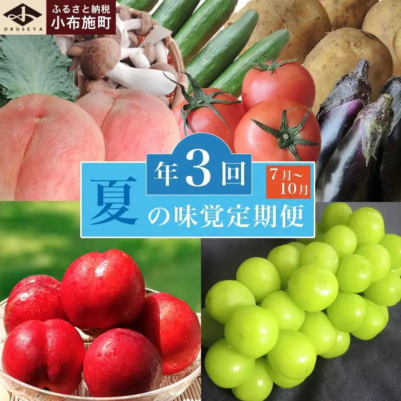 ［3回定期便］ 夏の味覚3回コース ［小布施屋］ 先行予約 フルーツ 果物 くだもの 野菜 やさい 数量限定 ネクタリン 桃 シャインマスカット ぶどう クール便 冷蔵 お楽しみ 3回お届け 長野県産 信州産 令和8年産 【2026年7月～10月発送】[D-2]