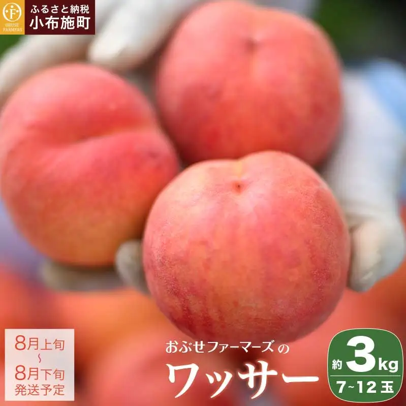 ワッサー 約3kg 7～12玉 ［おぶせファーマーズ］果物 フルーツ クール便 冷蔵便 長野県産 信州産 令和8年産【2026年8月上旬～下旬発送】［F-39］