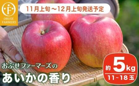  あいかの香り  約5kg 11～18玉 ［おぶせファーマーズ］ 長野県産 信州産 令和8年産 【2026年11月上旬～12月上旬発送】 ［F-234］