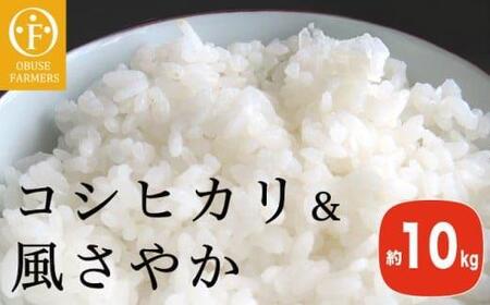 コシヒカリ＆風さやか 食べ比べ 約10kg ［ おぶせファーマーズ ］ お米 コメ おこめ ご飯 精米 長野県産 2種  ［FK-29］