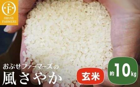風さやか 玄米  約10kg ［ おぶせファーマーズ ］ お米 コメ おこめ ご飯 精米 長野県産 ［FK-20］