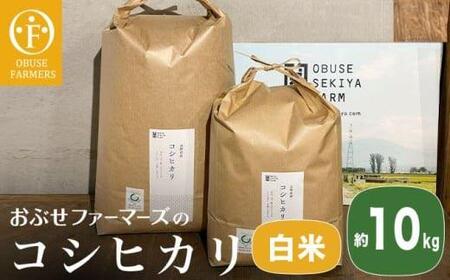 コシヒカリ 白米  約10kg ［ おぶせファーマーズ ］ お米 コメ おこめ ご飯 精米 長野県産 ［FK-12］