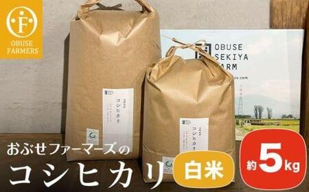 コシヒカリ 白米  約5kg ［ おぶせファーマーズ ］ お米 コメ おこめ ご飯 精米 長野県産 ［FK-11］