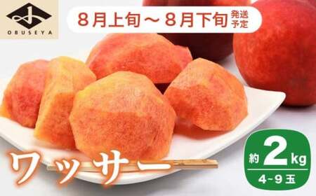 ワッサー 約2kg 4～9玉 ［小布施屋］ フルーツ 果物 長野県産 信州産 クール便 冷蔵便 数量限定 産地直送 令和8年産 【2026年8月上旬～8月下旬発送】［H-101］