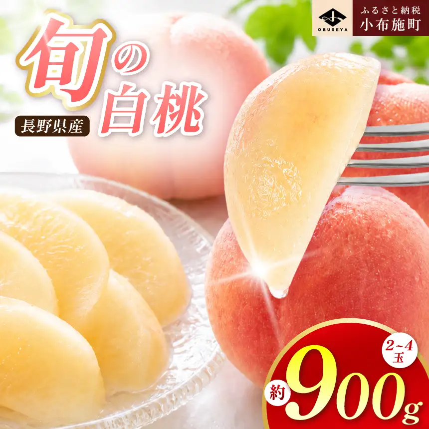 旬の白桃 約900g 2～4玉 ［小布施屋］ 長野県産 白桃 もも モモ フルーツ 果物 長野県産 信州産 クール便 冷蔵便 たまき なつき あかつき 川中島白鳳 川中島白桃など 令和8年産 【2026年7月上旬～9月中旬発送】［A-308］