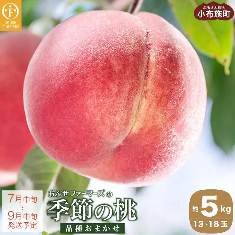 季節の桃 約5kg 13～18玉［ おぶせファーマーズ ］桃 もも モモ ピーチ フルーツ 果物 たまき なつき あかつき 川中島白鳳 なつっこ 川中島白桃 黄金桃 だて白桃 先行予約 長野県産 信州産 クール便 冷蔵便 お取り寄せ 産地直送 数量限定 産地 直送 令和8年産【2026年7月中旬～9月中旬発送】［F-63］