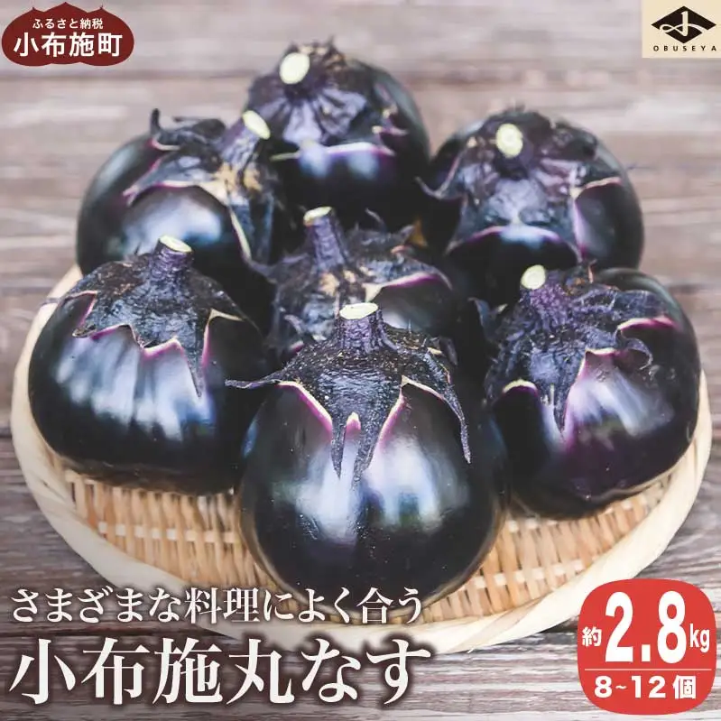 先行受付 小布施丸なす 約2.8kg 8～12個 ［小布施屋］ 茄子 ナス 信州 伝統野菜 やさい 長野県産 お取り寄せグルメ 食品 数量限定 期間限定 【2026年8月～10月上旬発送】 ［A-227］