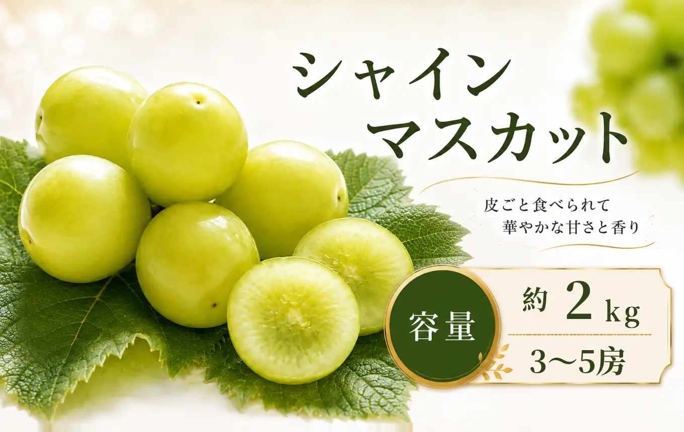 先行受付 シャインマスカット 約2kg 3～5房 2026年9月上旬～11月上旬発送［新規就農者応援コース 幸作会］｜ ぶどう 葡萄 ブドウ 生産者応援 果物 フルーツ［K-39］