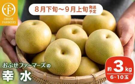 幸水 秀品 約3kg 6～10玉  [おぶせファーマーズ]  なし 果物 フルーツ 長野県産 信州産 令和8年産 【2026年8月下旬～9月上旬発送】［F-47］