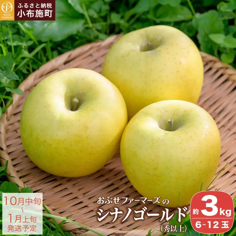  シナノゴールド 秀以上 約3kg 6～12玉 ［おぶせファーマーズ］ 果物 フルーツ りんご 林檎 リンゴ 長野県産 信州産 令和8年産 【2026年10月中旬～2027年1月上旬発送】［FH-83］