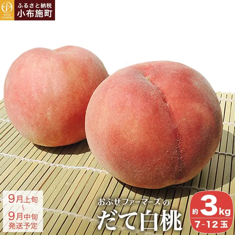 だて白桃 約3kg 7～12玉 ［おぶせファーマーズ］桃 もも モモ 白桃 フルーツ 果物 冷蔵便 クール便 長野県産 信州産 令和8年産【2026年9月上旬～中旬発送】［F-44］