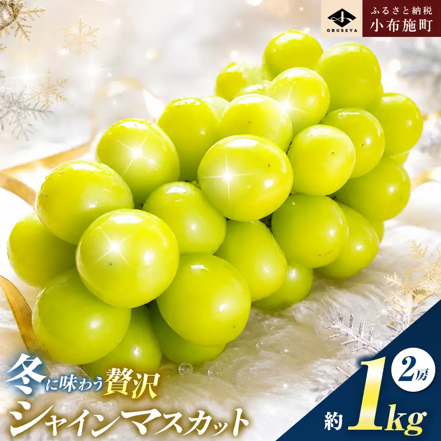 先行受付 蔵出し冬のシャインマスカット 約1kg 2房 ［ 小布施屋 ］【 2026年11月中旬～2027年2月発送 】長野県 ぶどう フルーツ 果物 冷蔵便 クール便 令和8年産［ A-502 ］