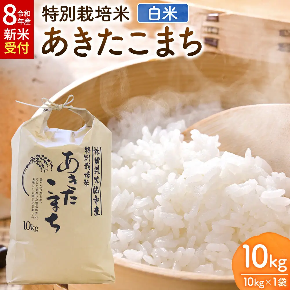 《令和8年産新米受付》米 特別栽培米 あきたこまち【精白米】10kg×1袋 ローズメイ 秋田県 大仙市産