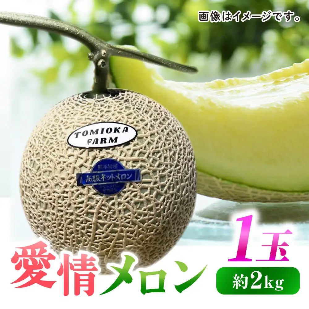 先行予約 年内発送 愛情 メロン 1玉【とみおか農園】[ZEM007]