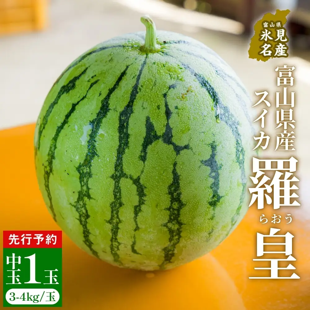【先行予約】富山県産スイカ 羅皇 中玉 1玉 （3-4kg/玉） 【2026年8月以降順次発送】 スイカ 夏 果物 フルーツ 富山県 氷見市