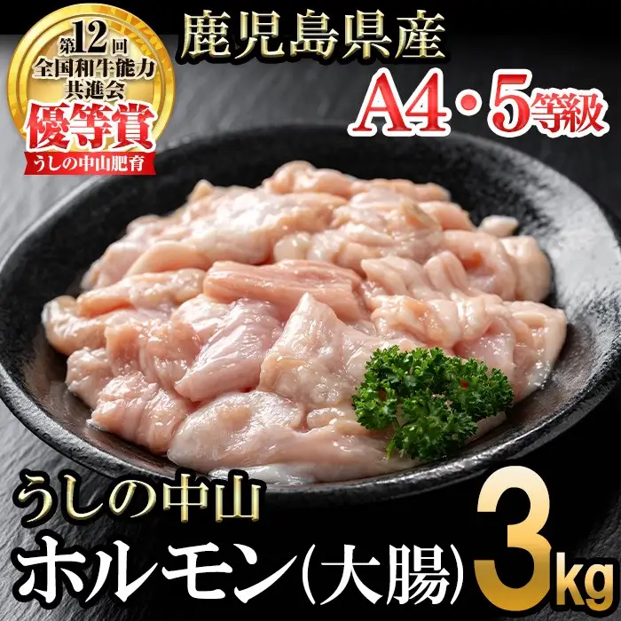 うしの中山 A4・A5等級黒毛和牛 ホルモン（大腸） 計3kg（500g×6袋）黒毛和牛 和牛 肉 牛肉 国産 九州産 鹿児島県産 ホルモン 焼肉 日本一 c0-135