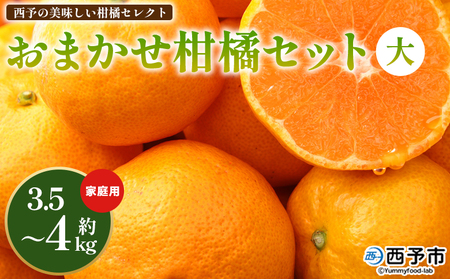＜西予の美味しい柑橘セレクト（ご家庭用）／おまかせ柑橘セット（大）約3.5～4kg＞ 果物 くだもの フルーツ 蜜柑 みかん ミカン 柑橘 ご家庭用 温州みかん 食べて応援 国産 愛媛県産 特産品 西予みかん倶楽部 愛媛県 西予市『3月に順次発送』【常温】OMC0012_03