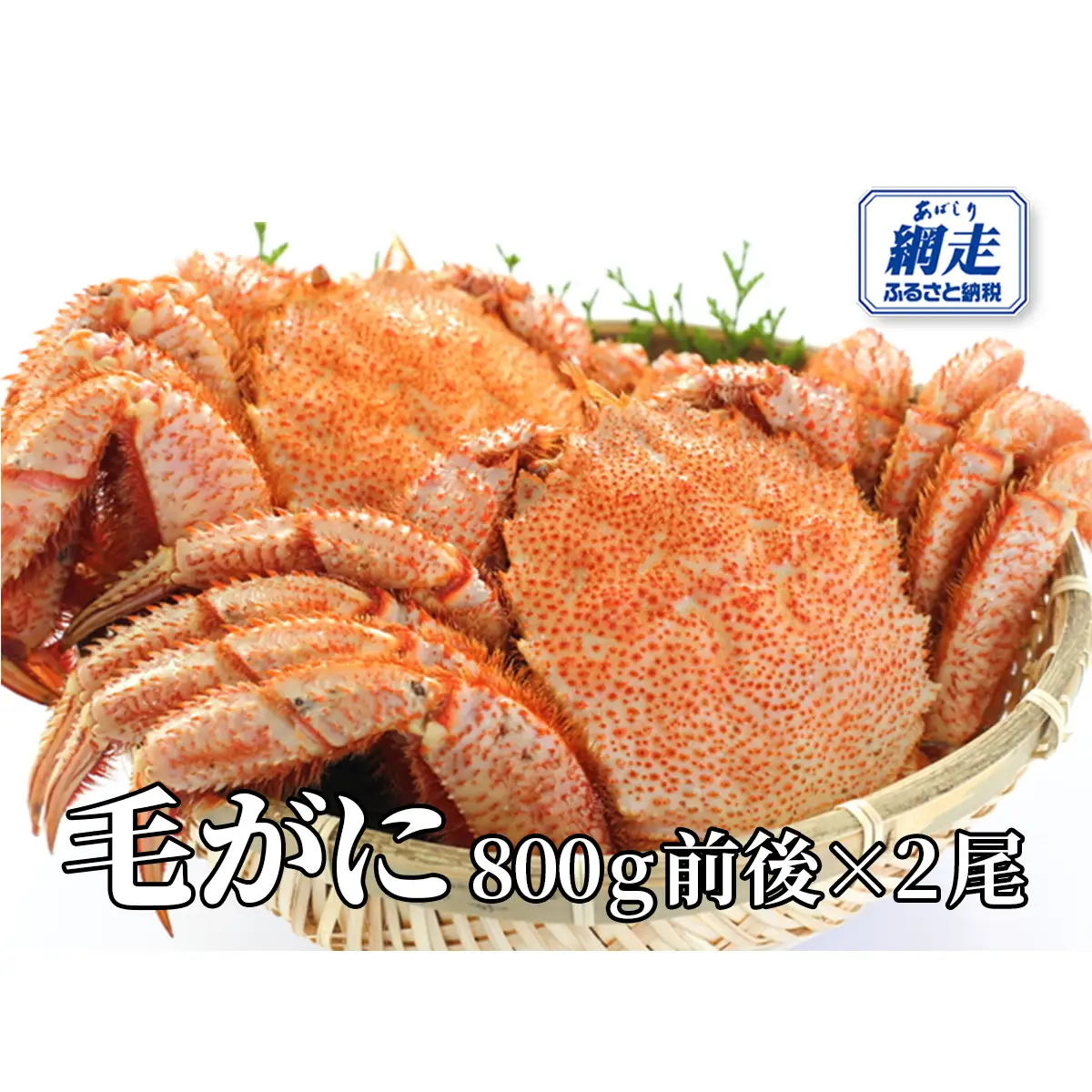 網走産 毛がに1.6kg前後（800g前後×2尾） ABW109