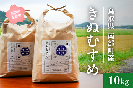 ＜令和8年産予約＞鳥取県南部町産 きぬむすめ 10kg 米 お米 こめ おこめ コメ 白米 精米 なんぶ里山デザイン機構