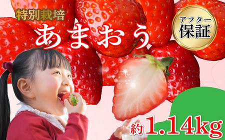 【2027年3月発送】 訳あり 福岡県産 あまおう 約285g×4P 約1.1kg いちご 苺 イチゴ 期間限定 ULU