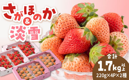 先行予約 2027年1月～発送 紅白いちごセット（淡雪・さがほのか ） 計1.7kg以上（各220g×4パック） 【岸川農園】[IAP049]