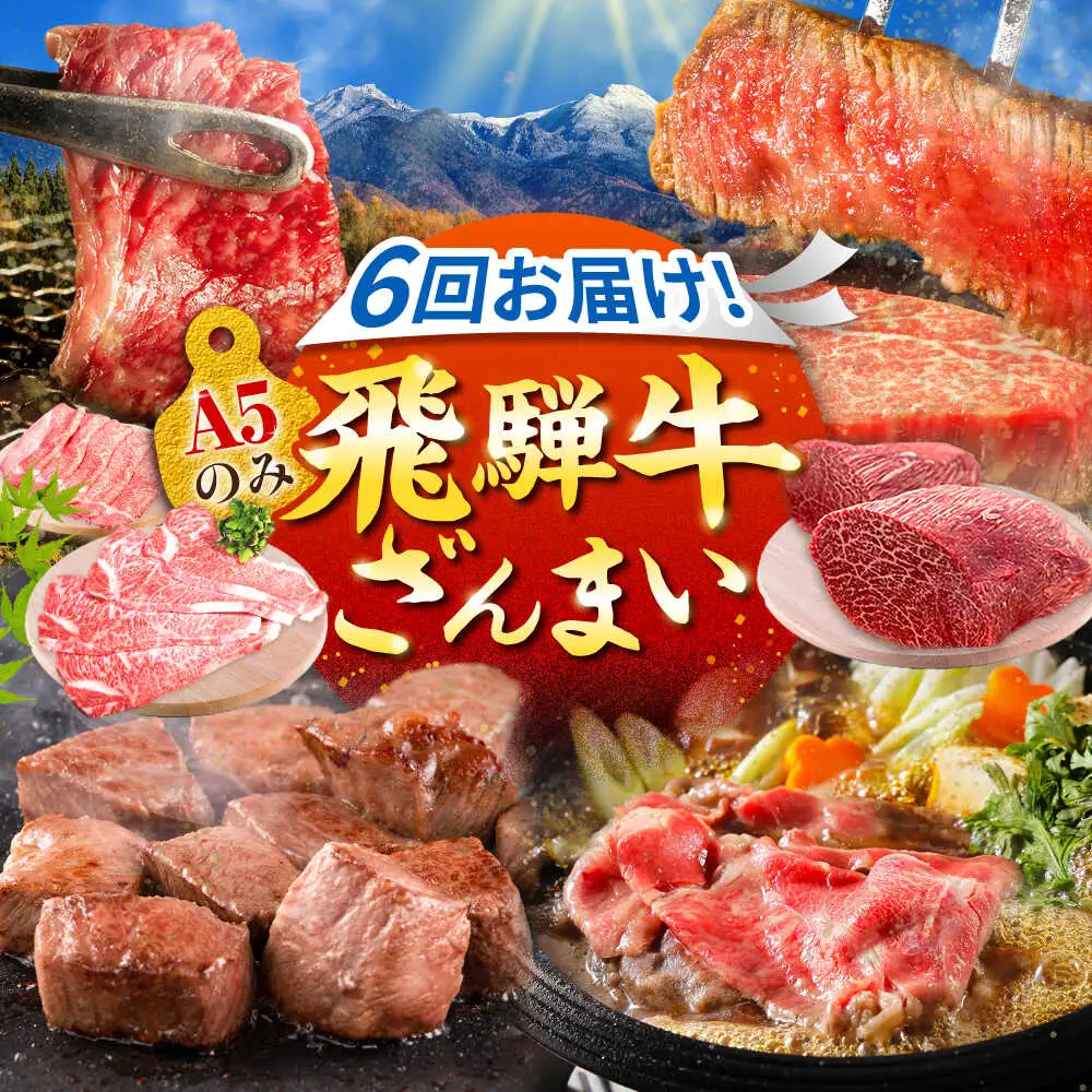 【6回定期便】肉のキング 飛騨牛満喫セット / 飛騨牛 サーロイン ステーキ 肉 詰め合わせ セット 岐阜県 / 御嵩町 / 肉のキング[AVAG020]