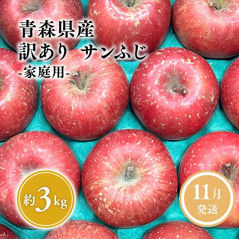 りんご サンふじ 家庭用 約3kg りんご