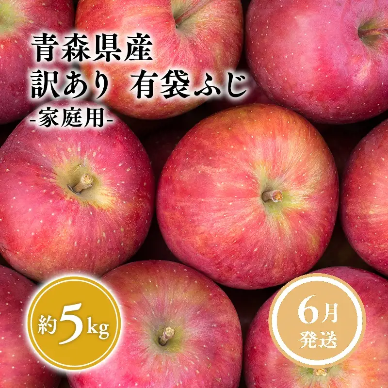 りんご 有袋ふじ 家庭用 約5kg クール便 りんご