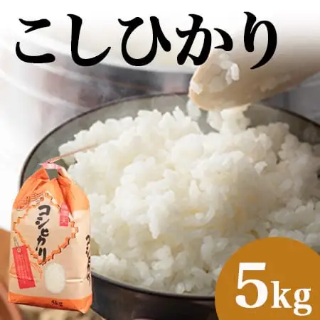 令和7年産 郡上産こしひかり 5kg