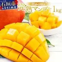 2L～3L マンゴー2～3玉（約1kg）KP-024